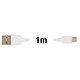 Avizar Câble USB type C vers USB Smartphone Tablette Charge & Synchro 1 m - Blanc pas cher