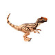 Acheter Jurassic Park Hammond Collection - Figurine Metriacanthosaurus 12 cm
