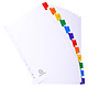 Avis EXACOMPTA Intercalaires Imprimés mensuels carte blanche 160g - 12 positions - A4 Blanc x 20