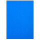 Avis RAINEX Lot de 100 Couvertures de reliure matière synthétique Carton mat 250g A4 Bleu royal