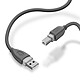 LinQ Câble USB-A 2.0 vers USB-B 2.0 Transfert Rapide Connexion Stable  3m Gris pas cher
