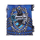 Harry Potter - Chope Ravenclaw pas cher