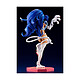 Acheter Darkstalkers Bishoujo - Statuette 1/7 Felicia 26 cm