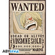 Avis One Piece -   Set 2 Chibi Posters Wanted Zoro & Sanji (52 X 35 Cm)