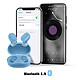 Acheter Écouteurs Bluetooth 5.2 avec Étui de Charge Autonomie 12 Heures Son Clair Bleu