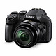 PANASONIC Bridge LUMIX DMC-FZ300