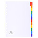 EXACOMPTA Intercalaires carte blanche 160g avec onglets couleurs renforcés - 12 positions - A4 - Blanc x 20 Intercalaire