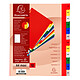 EXACOMPTA Jeu d'intercalaires mensuel polypro 12 touches multicolores Format A4+ x 20 Intercalaire