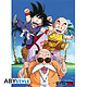 Dragon Ball -  Poster Kame Team (52 X 38 Cm) Dragon Ball -  Poster Kame Team (52 X 38 Cm)