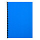 RAINEX Lot de 100 Couvertures de reliure matière synthétique Carton mat 250g A4 Bleu royal Couverture à relier