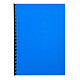 RAINEX Lot de 100 Couvertures de reliure matière synthétique Carton mat 250g A4 Bleu royal Couverture à relier