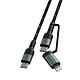 4smarts Câble 2 en 1 Lightning + USB-C Transfert Charge 1.5m  ComboCord CL Noir Câble USB type C 2 en 1, 4Smarts ComboCord CL