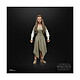 Acheter Star Wars Episode VI - Figurine Black Series Princess Leia (Ewok Village) 15 cm