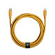 Native Union Eco Belt Câble USB-C vers Lightning 3m Kraft ECO Câble de chargement avec une sangle en cuir