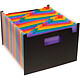 VIQUEL Trieur Seatcase Rainbow 24 compartiments, en polypro 7/10e, 2 poignées, noir Trieur