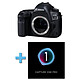 CANON EOS 5D MARK IV Nu + Logiciel Capture One Pro PROMO GARANTIE 3 ans. MATERIEL PROVENANCE FRANCE. Emballage securisé de vos commandes. Livré avec Facture dont TVA.