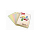 PAPETERIES DE FRANCE Ramette 100 feuilles x 5 teintes ADAGIO 80g format A4 assortis pastel et vif Papier couleur