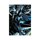 DC Comics - Puzzle Batman Vigilant Puzzle DC Comics, modèle Batman Vigilant.