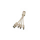 Blaupunkt - Câble de charge écologique porte clé 3-en-1 - BLP0231-112 - Beige Câble de charge porte clé 3en1 en fibre de paille de blé, lightning & micro USB, USB-C