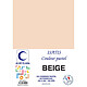 ELVE Paquet de 102 Chemises 160 g 240 x 320 mm ISATIS Coloris Pastel Beige Chemise/Sous-dossier