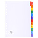 EXACOMPTA Intercalaires Imprimés mensuels carte blanche 160g - 12 positions - A4 Blanc x 20 Intercalaire