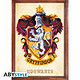 Avis Harry Potter - Cartes postales Set 1