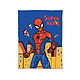 Spider-Man - Couverture polaire Super Hero 130 x 170 cm Couverture polaire Spider-Man Super Hero 130 x 170 cm.