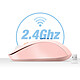 Acheter LinQ Souris Sans Fil Bluetooth ou WiFi 2.4Ghz Précision et Confort Rose Poudré