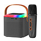 Avizar Mini Enceinte Bluetooth LED avec Micro Sans Fil Kit Karaoke Portable Noir - Kit karaoke 2 en 1 Noir avec mini enceinte Bluetooth et microphone pour un karaoké amusant et des soirées réussies