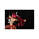 Fairy Tail - Statuette 1/6 Erza Scarlet Samurai Ver. Kurenai 43 cm pas cher