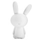 BIGBEN BTLSRABBIT - Enceinte portable sans fil lumineuse et veilleuse Lapin - Fonction sans fil Port USB Entrée auxiliaire 3.5 mm