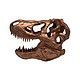 Jurassic Park - Réplique mini T-Rex Skull 10 cm pas cher