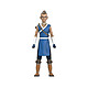 Avatar : Le Dernier Maître de l'Air - Figurine BST AXN Sokka 13 cm Figurine Avatar : Le Dernier Maître de l'Air, modèle BST AXN Sokka 13 cm.