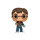 Harry Potter - Figurine POP! Harry With Prophecy 9 cm Figurine POP! Harry Potter, modèle Harry With Prophecy 9 cm.