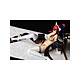 Acheter Fairy Tail - Statuette 1/6 Erza Scarlet White Tiger CAT Gravure_Style 13 cm