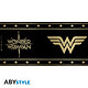 Acheter DC Comics - Mug Wonder Woman  250 ml