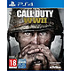 Call of Duty World War II (PS4) Jeu PS4 FPS 18 ans et plus