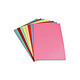 5 ETOILES Paquet de 250 sous-chemises papier recyclé 60 grammes coloris assortis Chemise/Sous-dossier