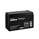 Izyx - Batterie rechargeable 12V/ 7AH FX1207 Izyx - Batterie rechargeable 12V/ 7AH FX1207