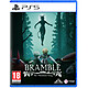 Bramble The Mountain King PS5 Bramble: The Mountain King est une aventure sombre et horrifique inspirée par le folklore scandinave. Description Découvrez Bramble The Mountain King