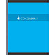 CONQUÉRANT Cahier Broché 17x 22 cm 192p 70G grands carreaux coloris aléatoires pas cher