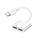 Avizar Adaptateur USB-C Mâle vers Double USB-C Femelle Audio et Charge Compact  Blanc - Pas de temps pour les complications : voici votre adaptateur USB-C à double fonction Charge et Audio