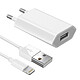 Avizar Chargeur secteur USB + câble iPod iPad Iphone - blanc - Chargeur secteur USB + câble lightning