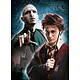 Avis Harry Potter - Pack 3 Puzzles Characters