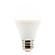 Elexity - Ampoule LED Standard 6W E27 470lm 2700K Elexity - Ampoule LED Standard 6W E27 470lm 2700K