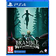 Bramble The Mountain King PS4 Bramble: The Mountain King est une aventure sombre et horrifique inspirée par le folklore scandinave. Description Découvrez Bramble The Mountain King