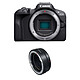 CANON EOS R100 + Bague EF-EOS R PROMO GARANTIE 3 ans. MATERIEL PROVENANCE FRANCE. Emballage securisé de vos commandes. Livré avec Facture dont TVA.