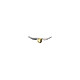 Harry Potter - Badge Golden Snitch Badge Harry Potter, modèle Golden Snitch.