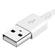 Acheter Samsung Câble USB vers USB type C Original  EP-DW700CWE Blanc charge et synchro