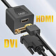 Avis LinQ Adaptateur HDMI Mâle vers DVI-D Femelle et HDMI Femelle Compact Noir